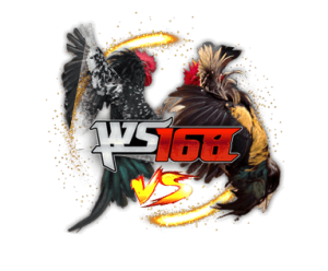 WS168